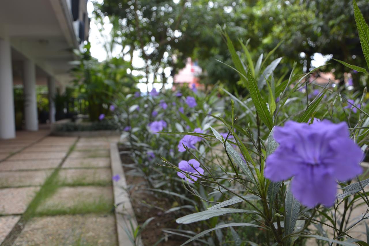 Hotel Bamboo Garden Boutique Siem Reap Exteriér fotografie